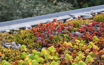 the cost of Carnlough green roof installation
