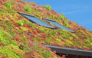 Carnlough living roof systems