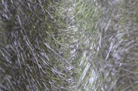 Carnlough fibreglass roof work